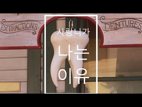 사랑니는 왜 나는 걸까?