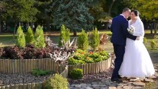 фото видео услуги