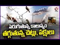 Air and Sound Pollution Rising In City: Tree Survey | Hyderabad | V6 News