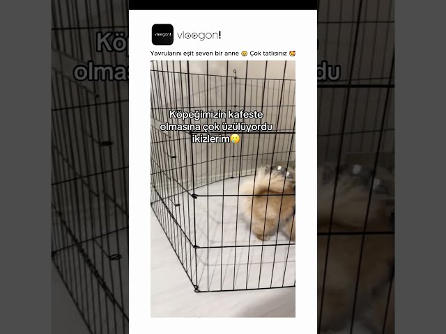 Yavrularını eşit seven bir anne 😀 Çok tatlısınız 🥰