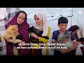 Displaced Palestinians cradle pet cats in camp  - 01:10 min - News - Video