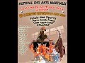 Festival des arts martiaux 2014 à Valence