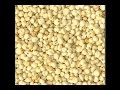2 minutes to stay fit: The uses of Jowar (Sorghum)