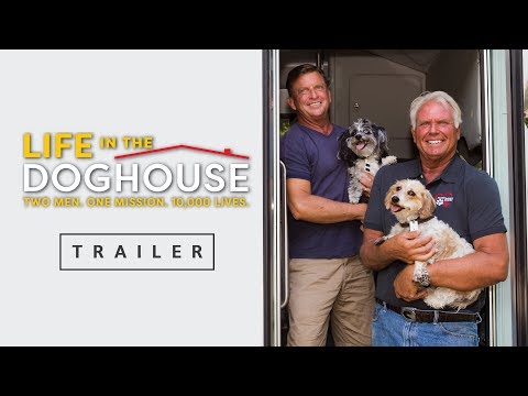 Life in the Doghouse'