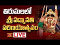 LIVE: తిరుమలలో శ్రీ పద్మావతి అమ్మవారి పరిణయోత్సవం | Sri Padmavathi Parinayotsavam | Tirumala