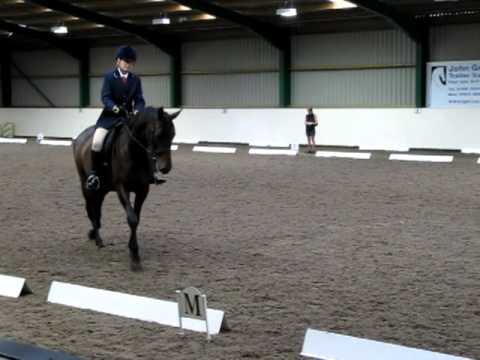 British Dressage Intro B Test (walk & Trot) - YouTube