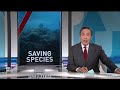 Conservationists take drastic measures to save coral reefs from climate change  - 08:40 min - News - Video