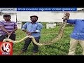 Python Killed by Rajendra Nagar Residents in Hyderabad