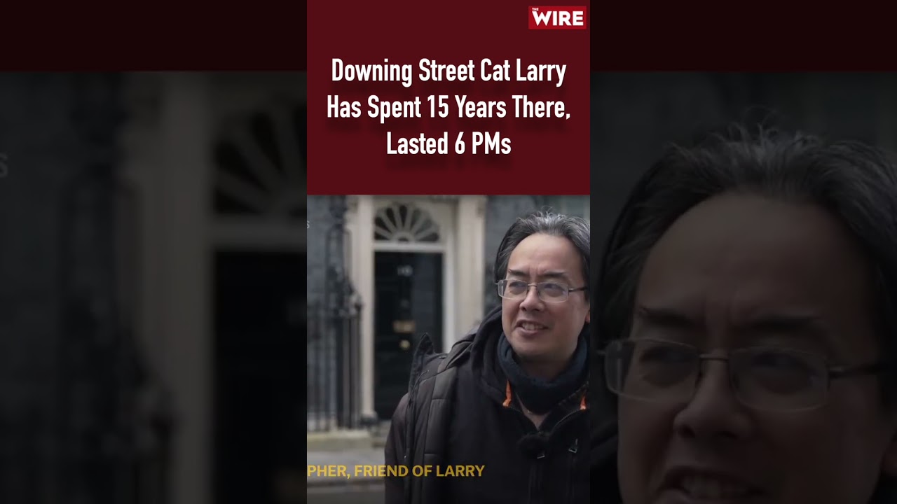 Downing Street Cat Larry Has Spent 15 Years There, Lasted 6 PMs