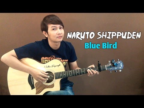(Ikimono Gakari) Blue Bird [Naruto Shippuden] - Nathan Fingerstyle | Guitar Cover OST Theme Song