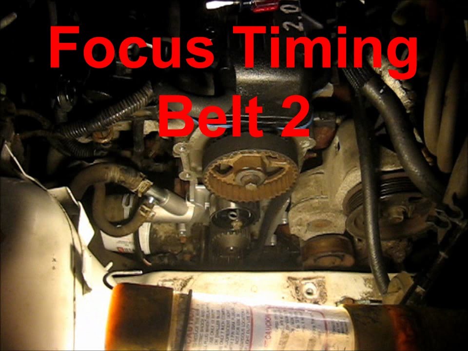 Ford focus water pump belt