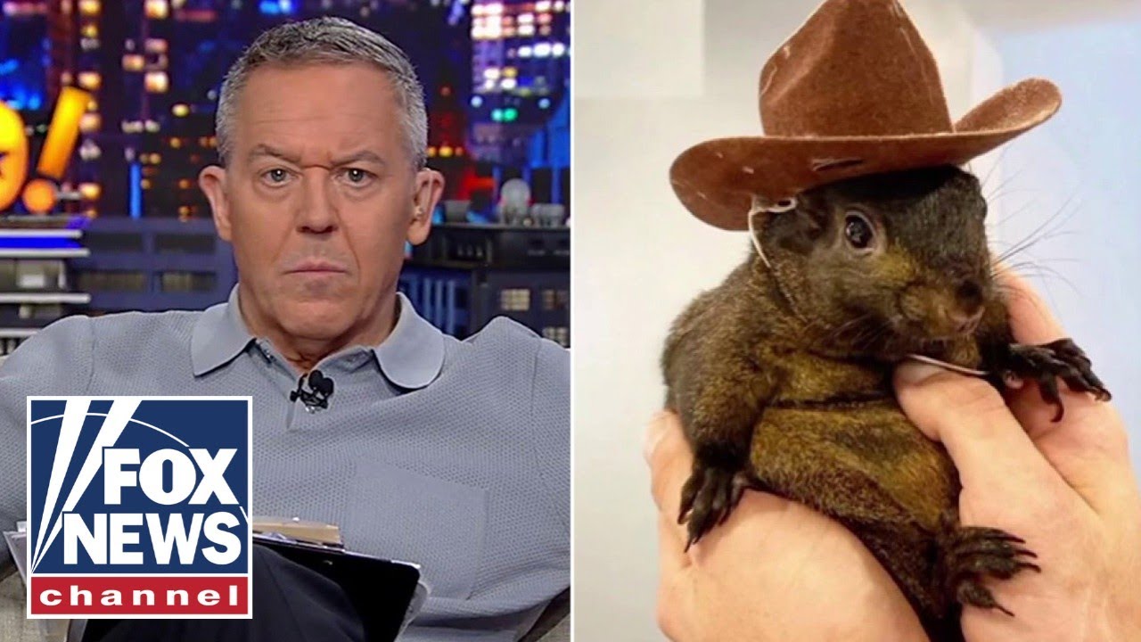 Gutfeld: Did this little squirrel just red pill America?