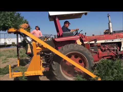 CBD Hemp Harvester - 2,200 stalks per/hr - 5-8 acres day