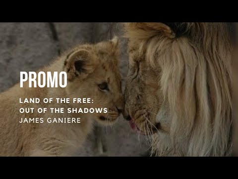 Land of the Free: Out of the Shadows'