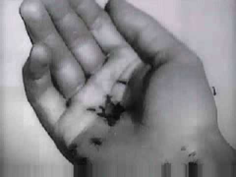 Un chien andalou'