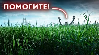 Человек исчез среди бела дня — что произошло на том поле?