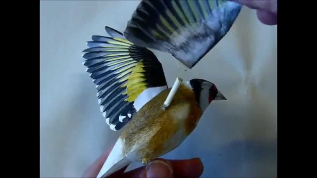 Incredibly realistic 3d papercraft bird - YouTube