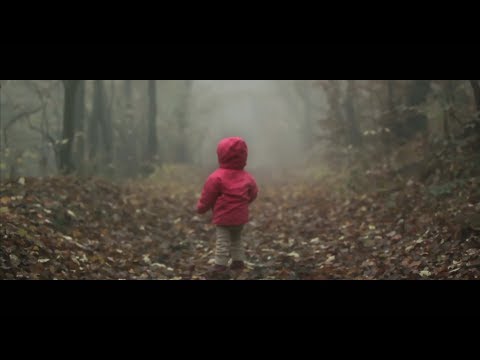 Lost In Forest - Short Video