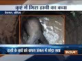 Elephant calf rescued from a pit in forests
