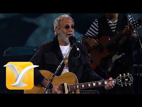 Yusuf Cat Stevens, Oh Very Young, Festival de Viña 2015 HD 1080p