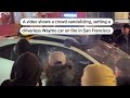 Driverless car vandalized, set ablaze in San Francisco | REUTERS  - 00:19 min - News - Video