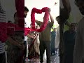 Mega Family Celebrates Pawan Kalyan Victory | IndiaGlitz Telugu  - 00:43 min - News - Video