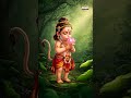 Hanuman jayanti 2025  - Sri Ramadhutam Shirasanamami | Hanuman Chalisa | Telugu Bhakti Songs  - 00:29 min - News - Video