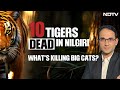 10 Tigers Found Dead In Nilgiri In 40 Days | Left, Right & Centre