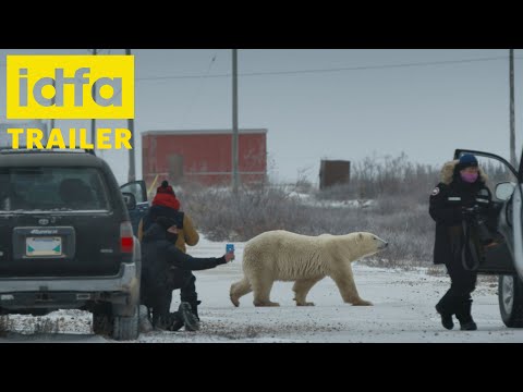Nuisance Bear'