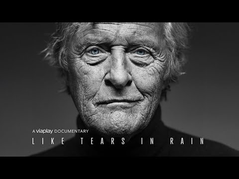 Like Tears in Rain'