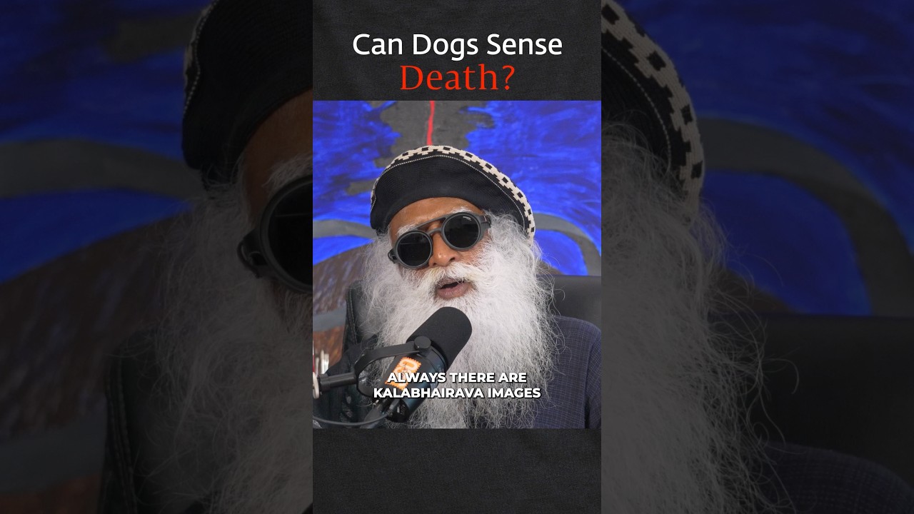 Dogs Can Sense Death | Sadhguru