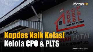 Prabowo Perluas Peran Koperasi! KDMP Bakal Kelola Pabrik CPO hingga PLTS Mulai Agustus 2026