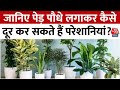 Bhagya Chakra: जानिए पेड़ पौधे लगाकर जीवन की समस्याओं का कैसे पाएं समाधान? | Aaj Tak
