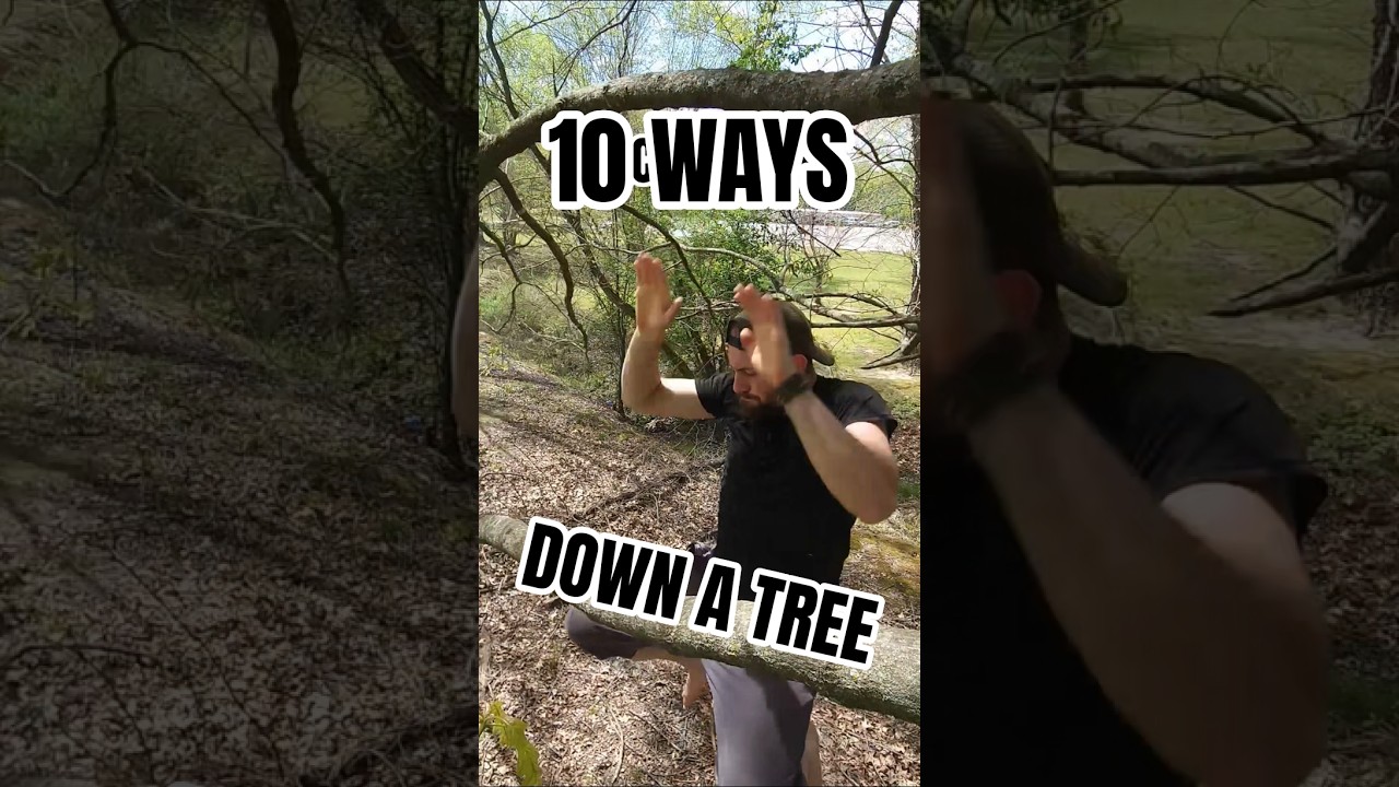 10 WAYS DOWN A TREE
