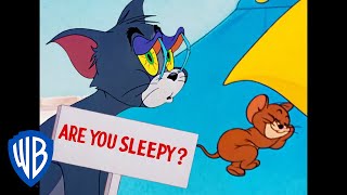 Tom a Jerry - jarní odpočinek
