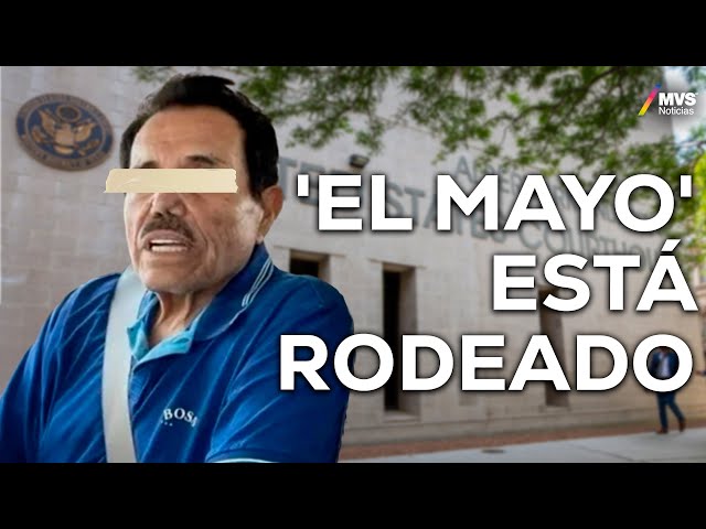 OVIDIO GUZMÁN ya cantó, ¿'EL MAYO' ZAMBADA es el siguiente?  | MVS Noticias