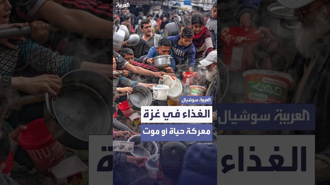 مسؤول أممي: أكثر من 400 قتيل أثناء محاولات الوصول إلى الغذاء في غزة