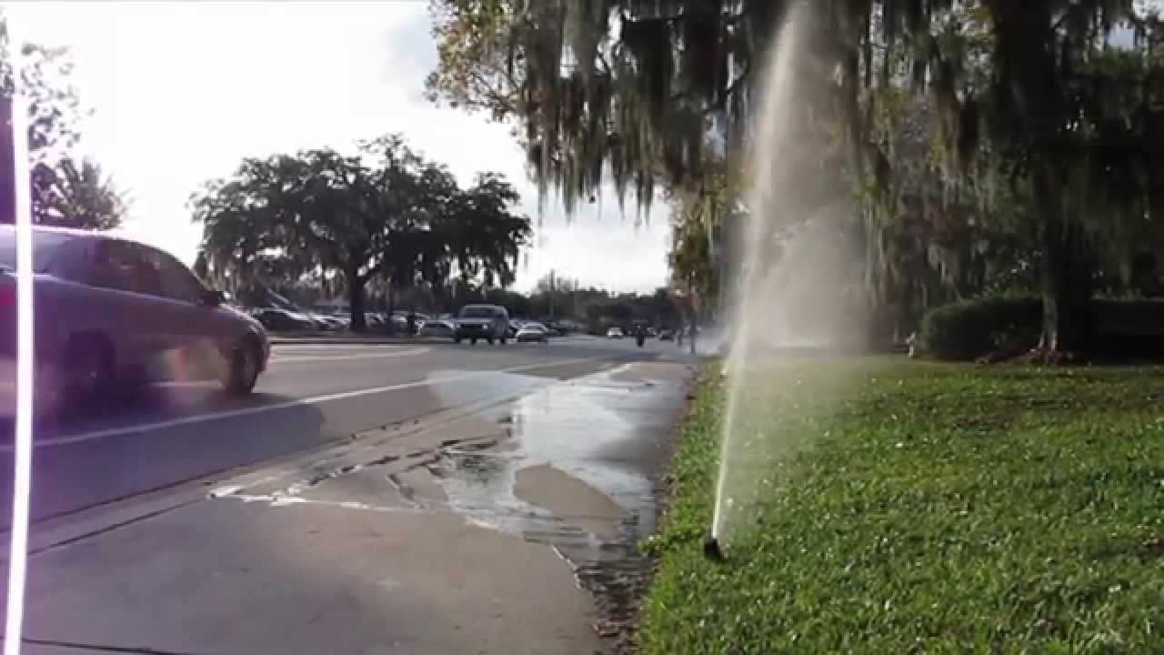 Play Video about UF/IFAS Residential Irrigation