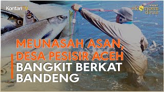 Meunasah Asan, Desa Pesisir Aceh Bangkit Berkat Bandeng