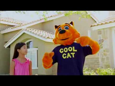Cool Cat Saves the Kids'
