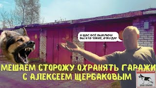 "Мешаем работать гаражному мужику" с Алексеем Щербаковым (bonus)