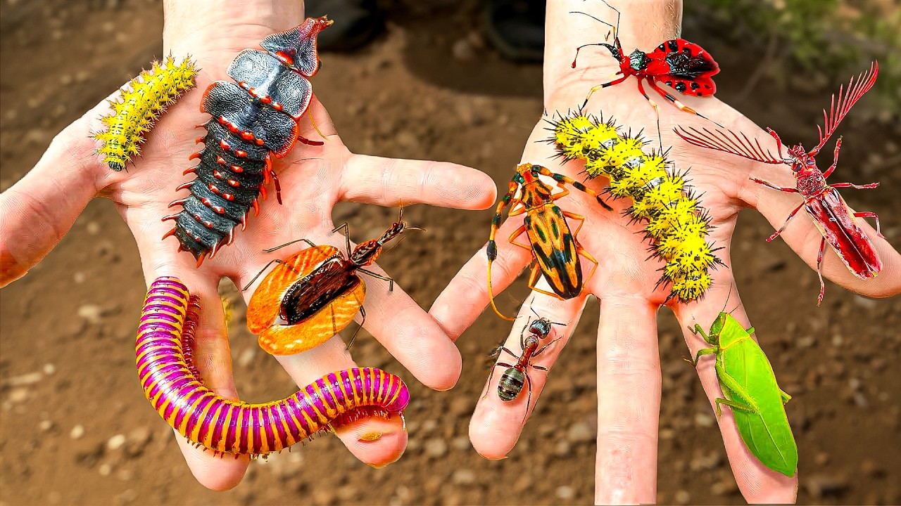 Catching Weirdest Bugs on Earth!