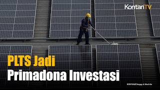 PLTS Jadi Primadona Investasi, Tax Holiday Justru Berakhir