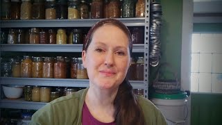 Healing My Autoimmune Disease with Diet ~ GAPS snack recipes