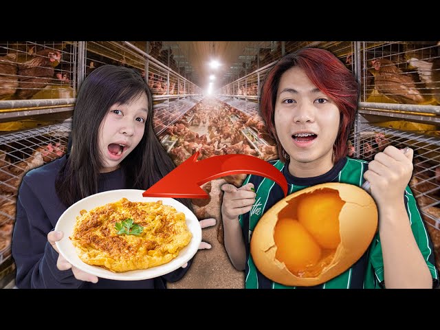 ใข่แฝด!! จะโชคดีอะไรขนาดนี้เจอไข่แฝดเอามาทำไข่เจียวเอาตัวรอดซะเลย