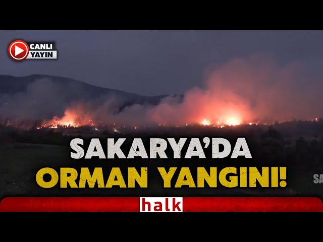 #CANLI Sakarya'nın Geyve ilçesindeki orman yangınına ekiplerin müdahalesi sürüyor | #HalkTV