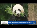 China prepares to send two pandas to the U.S.  - 01:58 min - News - Video