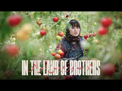 In the Land of Brothers'