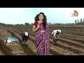 Preventions for Seeds | విత్తన సేకరణలో పాటించాల్సిన జాగ్రత్తలు | Matti Manishi | 10TV News  - 03:03 min - News - Video