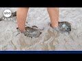 Woman speaks out after sinking into quicksand